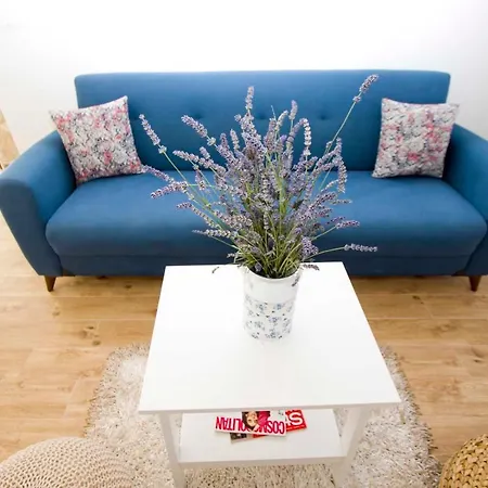 Rustica Apartment Drašnice